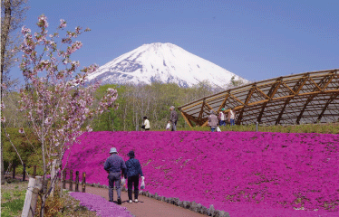 富士山樹空の森