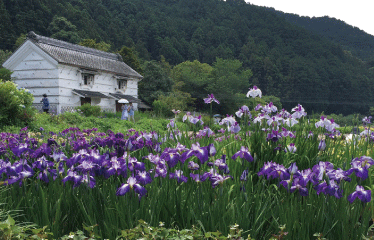 賀茂荘 花鳥園